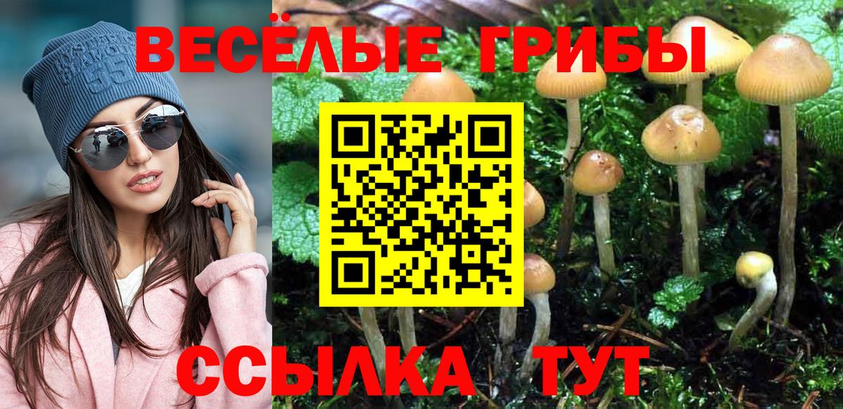 Беслан  Галлюциногенные грибы Cubensis  Вход с VPN  Псилоцибиновые грибы прущие грибы 