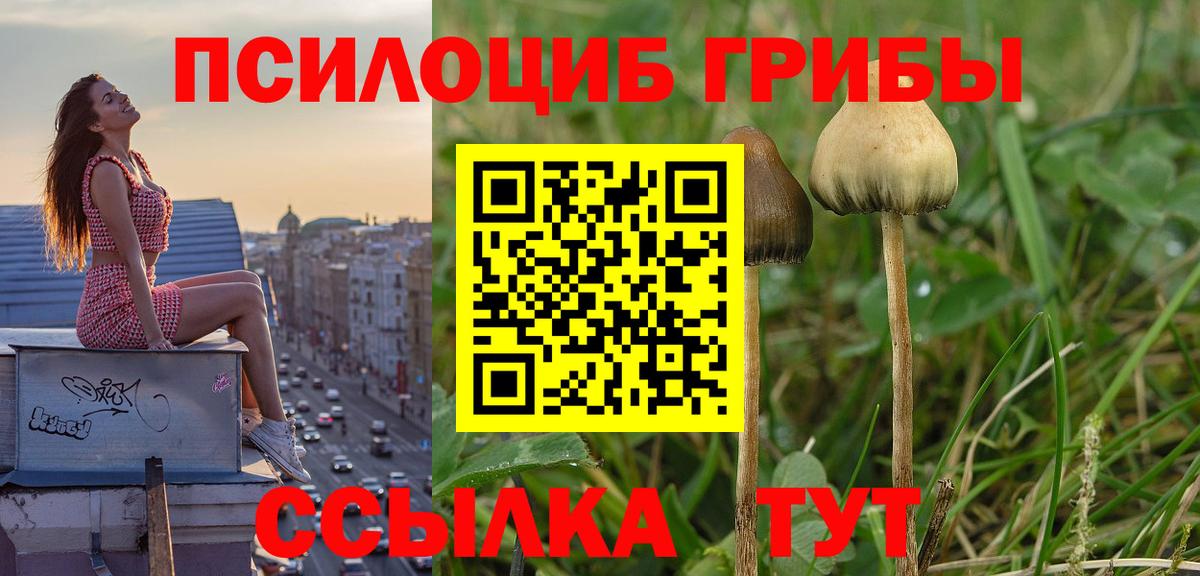 Псилоцибиновые грибы мухоморы Беслан